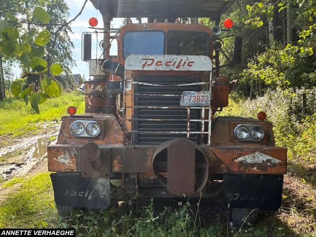 Photo tcp2311